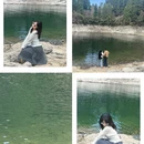 黄山旅游 缩略图 12