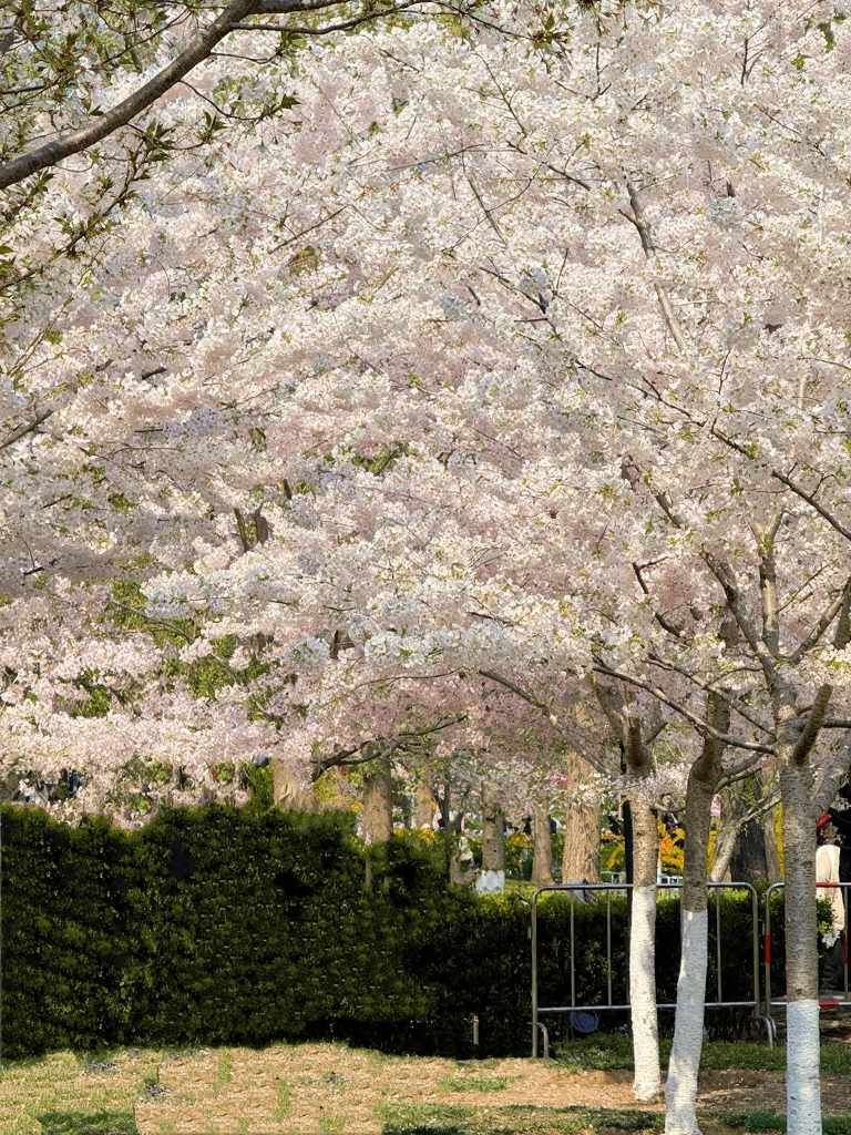 北京旅游