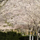 北京旅游 缩略图 1