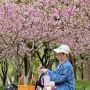 上海旅游 缩略图 7