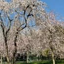 北京旅游 缩略图 8