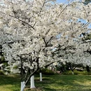 北京旅游 缩略图 14