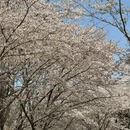 北京旅游 缩略图 18