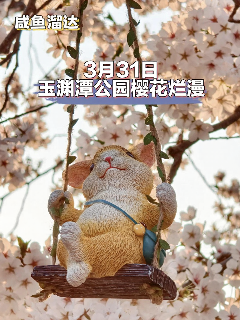 北京旅游