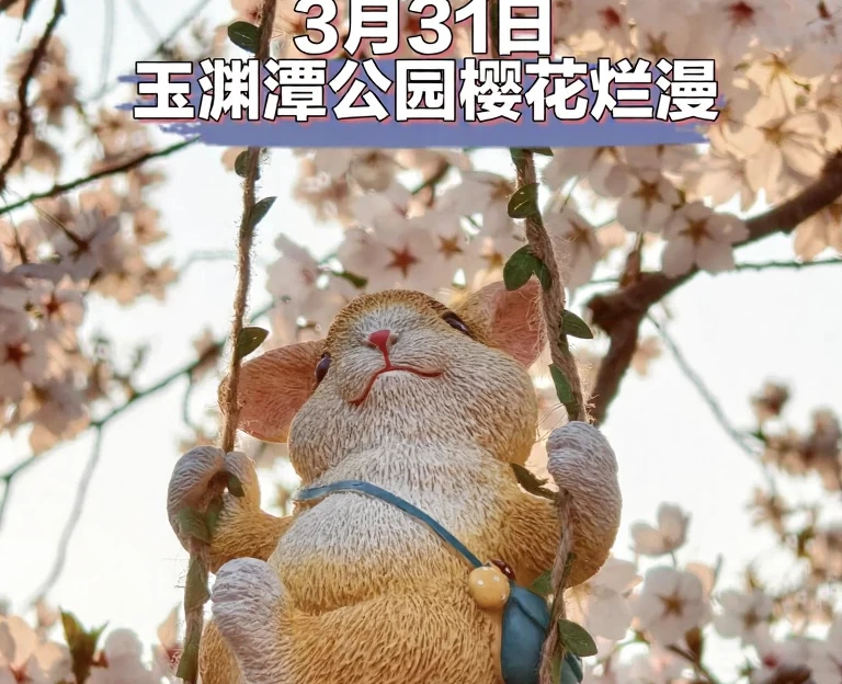 北京旅游 1