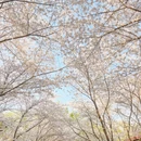 北京旅游 缩略图 6