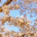 北京旅游 缩略图 5