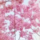 北京旅游 缩略图 10