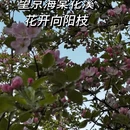 北京旅游 缩略图 1