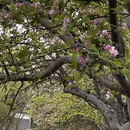 北京旅游 缩略图 6