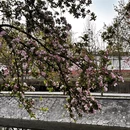 北京旅游 缩略图 4