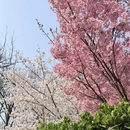 北京旅游 缩略图 13