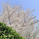 北京旅游 缩略图 8