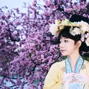 北京旅游 缩略图 7