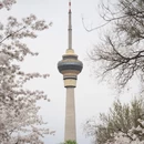 北京旅游 缩略图 4