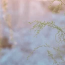北京旅游 缩略图 13