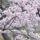 北京旅游 缩略图 6