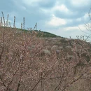 北京旅游 缩略图 7