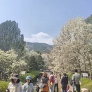 北京旅游 缩略图 4