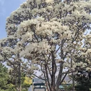 北京旅游 缩略图 1