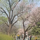 北京旅游 缩略图 3