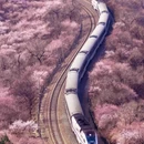 北京旅游 缩略图 3