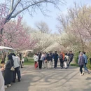 北京旅游 缩略图 6
