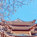 无锡旅游 缩略图 8
