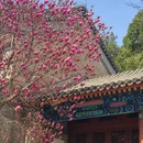 北京旅游 缩略图 5