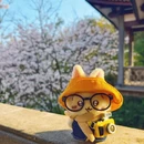 无锡旅游 缩略图 10