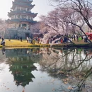 无锡旅游 缩略图 9
