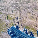 无锡旅游 缩略图 7