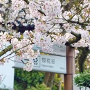 无锡旅游 缩略图 14