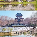 无锡旅游 缩略图 17