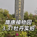 洛阳旅游 缩略图 1