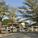深圳旅游 缩略图 3