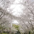 上海旅游 缩略图 3