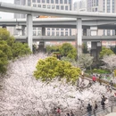 上海旅游 缩略图 13