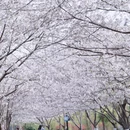 上海旅游 缩略图 1
