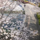 上海旅游 缩略图 17