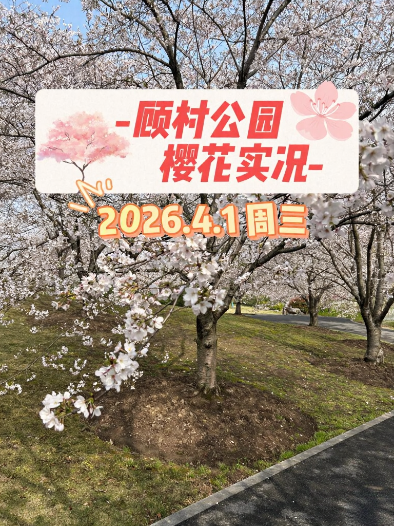 上海旅游