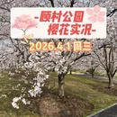 上海旅游 缩略图 1