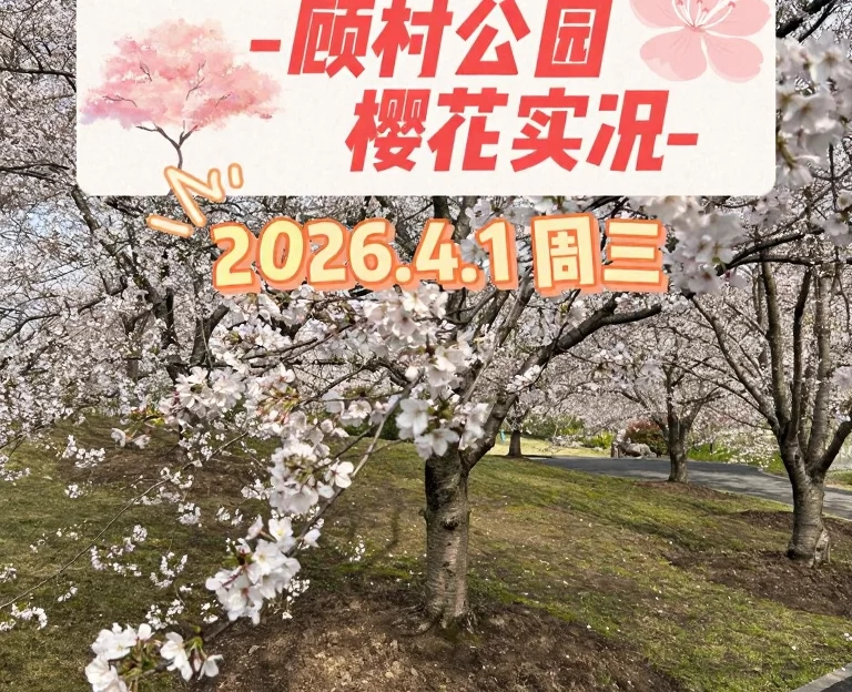 上海旅游 1