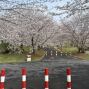 上海旅游 缩略图 4