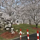 上海旅游 缩略图 6