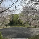 上海旅游 缩略图 12