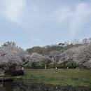 无锡旅游 缩略图 3