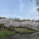 无锡旅游 缩略图 1