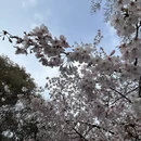 无锡旅游 缩略图 9
