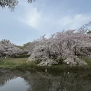 无锡旅游 缩略图 2